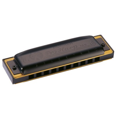 HOHNER ブルースハープ 562/20MS / プロハープ G 売り販促品 楽器