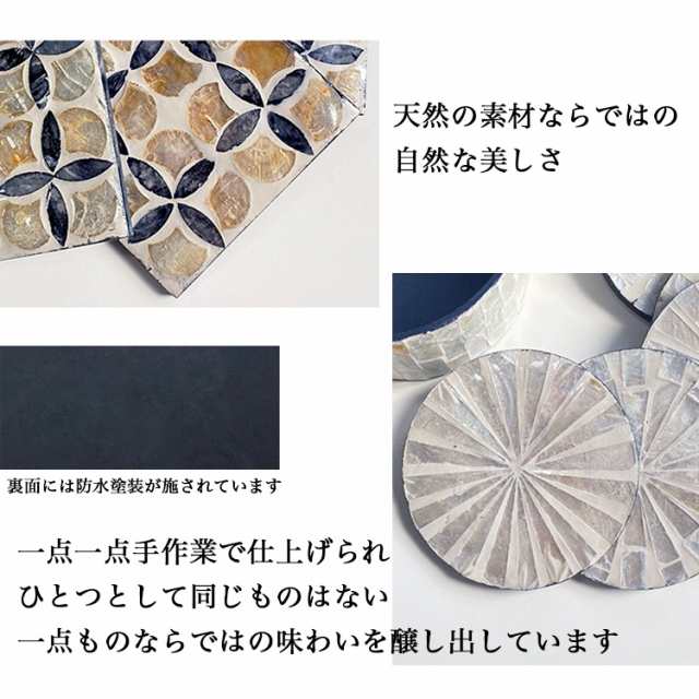 [天然素材 1点物] オシャレ 大きい 貝殻