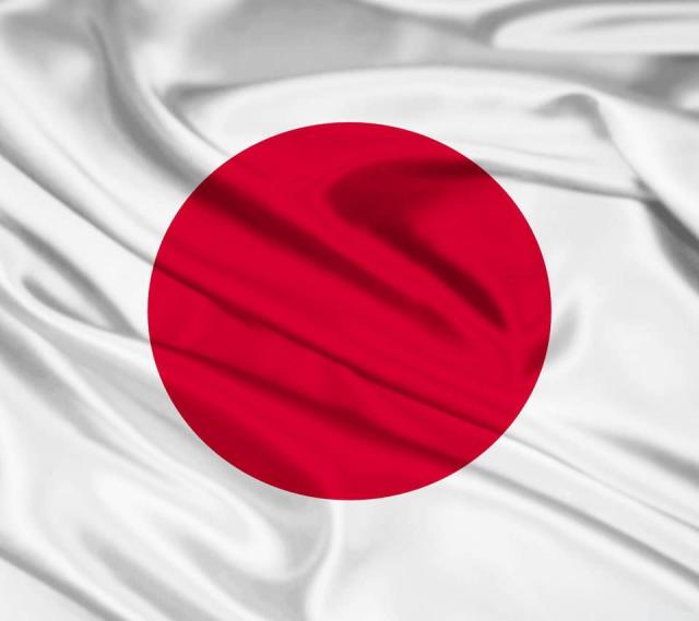 日の丸　国旗　特大サイズ　横3メートル　スポーツ観戦などに ネット限定】 日の丸 国旗 特大サイズ 横3メートル スポーツ観戦