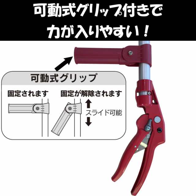 送料無料 大進 イージーカット 高枝切りバサミ 3m 手引き ノコギリ 付き 高枝 高枝切鋏 高枝切り鋏 切り 枝切りバサミ 枝切り鋏 剪定鋏 伸縮  のこぎり 高枝切狭 枝きりばさみ はさみ 高枝狭 枝きりばさみ 剪定 高枝切りノコ 枝切 軽量 女性 軽い 高枝切りのこぎり 枝切り ...