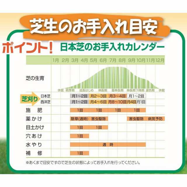 大進 手動 芝刈り機 コンパクト 自動調整刃 DGM-H200R 園芸 お手入れ