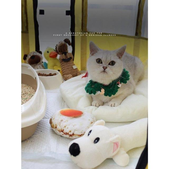 XLサイズ ペットサークル 折りたたみ式 テント 犬/猫/ウサギ用 全3色 持ち運び便利 組み立て簡単 メッシュ 小動物 ペットケージ 屋内 屋外 車内 丈夫 頑丈の通販は XLサイズ ペットサークル 折りたたみ式 テント 犬/猫/ウサギ用 全3色 持ち運び便利 組み立て簡単 メッシュ 小動物 ペットケージ 屋内 屋外 車内 丈夫 頑丈の通販は