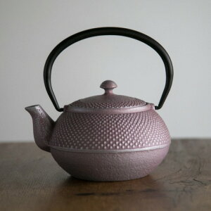 南部鉄器 急須 アラレ 0 4l チェリーシルバー カラーポット 日本製 ロジアソシエイツ おしゃれの通販はau Pay マーケット のレン 南部鉄器 急須 アラレ 0 4l チェリーシルバー カラーポット 日本製 ロジアソシエイツ おしゃれの通販はau Pay マーケット のレン