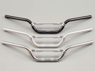 デイトナ ライドバー2 (MID)  シルバー (65662)の通販は