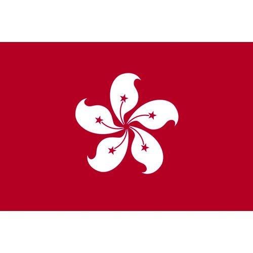 東京製旗 国旗No.1(70×105cm) 香港