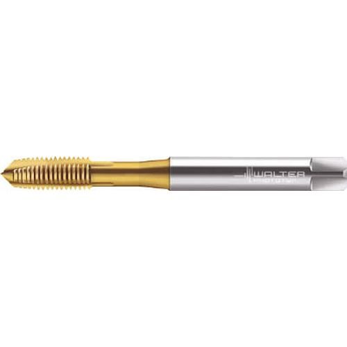 ワルター・ツーリング・ジャパン ※ワルター プロトティップ H 細目ポイントタップ (TINコート) JC2131005M6X0.75   8945 3909182