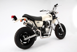 エイプ100 BEAMS製 SS300カーボン ダウンタイプ