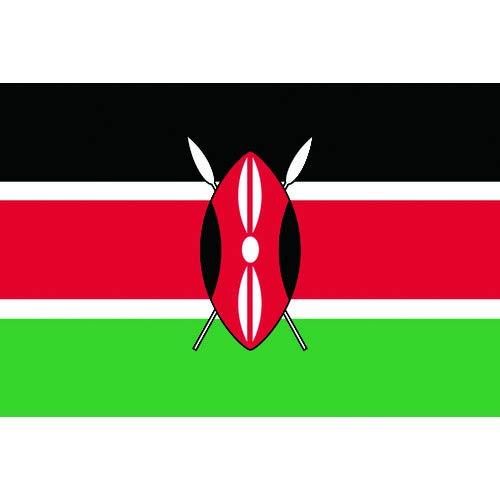 日本画 森山観月 富岳飛翔（ふがくひしょう） F8 慶祝画 [g4-bt032-F8