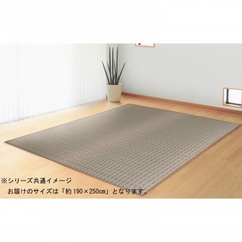 トーシン 茶染掛川織 アクセントラグ せせらぎ 約190×250cm TSN340849 グレイ (1671159)の通販は
