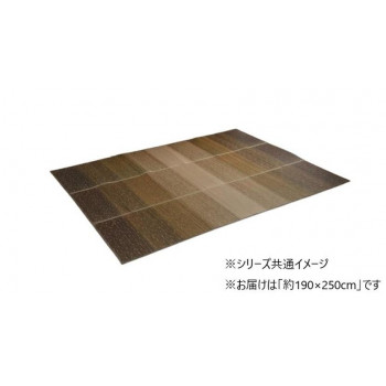イケヒコ カーペット NCXクリア ラグ 小林製薬 コラボ 持続性抗菌剤 KOBA-GUARD 制菌 抗菌防臭 滑り止め 不織布 夏 い草 グラデーション ブラウン 約190×250cm #8480380
