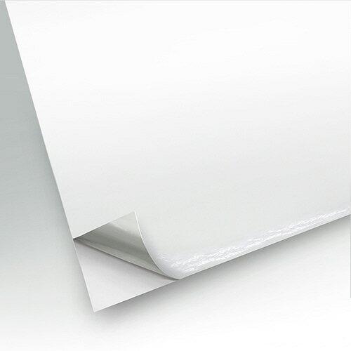 ライオン事務器 デザインカッターステカSV-8用カッティング用シート A4 10m巻 白 DC8-210白(723-52)