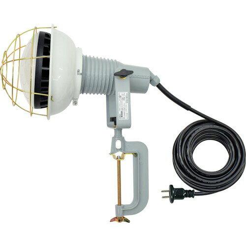 日動工業 日動 エコビックLED投光器50W 昼白色 2P10m