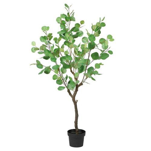 Aー50966 ユーカリ(ポット付) #051A グリ-ン (72-50966-151)の通販はその他花・観葉植物・盆栽