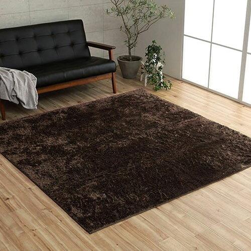 イケヒコ ラグ カーペット マット ルフォン 約200×250cm ブラウン オールシーズン シンプル 制菌加工 #3985119