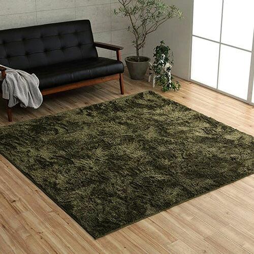 イケヒコ ラグ カーペット マット ルフォン 約200×250cm グリーン オールシーズン シンプル 制菌加工 #3985179