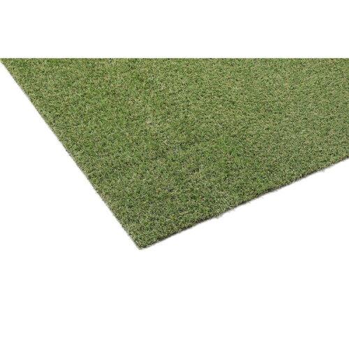 IRISOHYAMA アイリスオーヤマ 防草人工芝 2X5m BP-3025  BP-3025