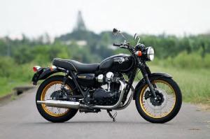 アールズギア W800 ワイバンクラシック(ヒートガード) (WK20-02CT-HG)の通販は