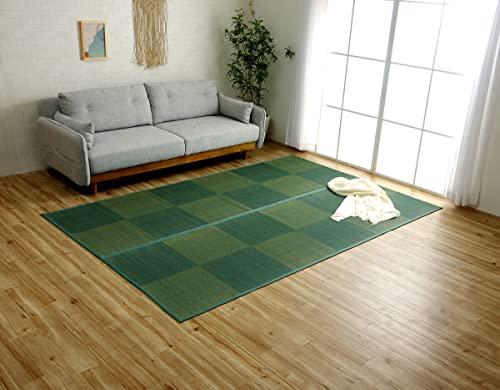 イケヒコ NDXルネ 本間3畳 191×286cmの通販は