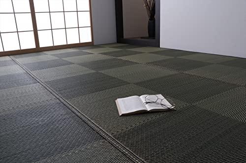 イケヒコ DXノア 江戸間6畳 261×352cm