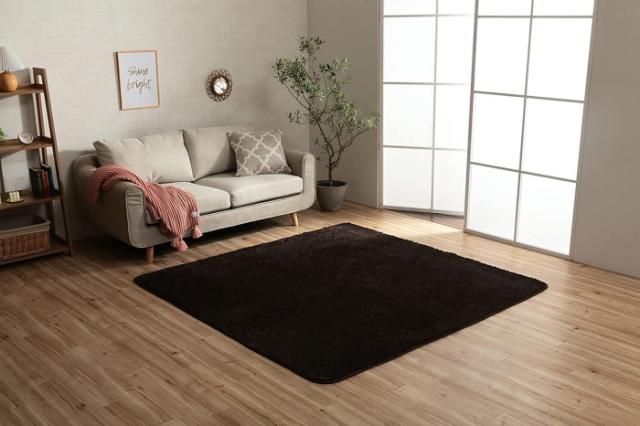イケヒコ フィリップ2 畳み 200×300cm   BR