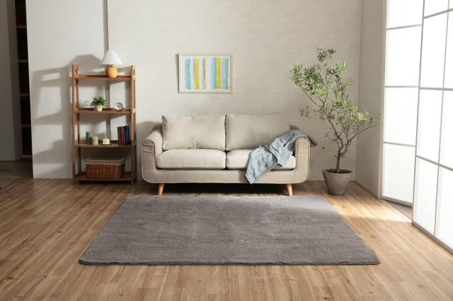 イケヒコ フィリップ2 畳み 200×250cm   GY