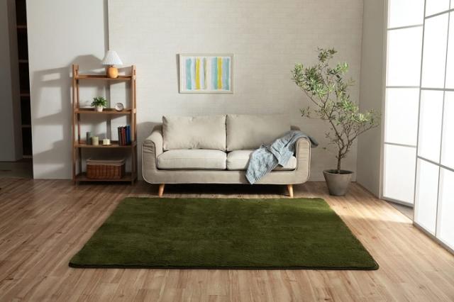 イケヒコ フィリップ2 畳み 200×250cm   OV