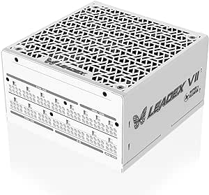 ディラック LEADEX VII GOLD 1000W WT