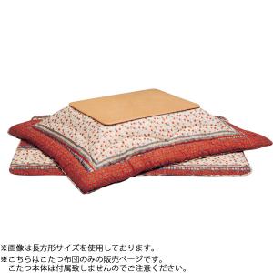 イケヒコ 国内プリント こたつ厚掛け布団単品 『オアシス』 205×205cm(裏地:ボア)