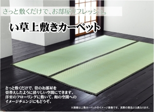 イケヒコ 純国産 い草 上敷き カーペット 双目織 『ほほえみ』 江戸間8畳(約352×352cm)
