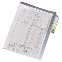 リヒトラブ カルテフォルダー 縦型 HK7608-ミ A4 シングルポケット 200枚入 HK7608-ミ