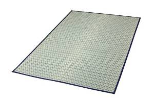 イケヒコ 掛川織 い草カーペット 『雲仙』 ブルー (約191×286cm)  4415213