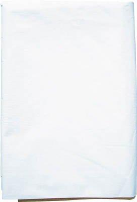 萩原工業 萩原 ホワイト防炎シート 3.6x5.4m WHBO3654Yの通販は 8,023円