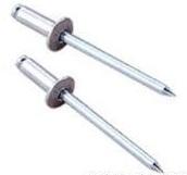 ロブテックス エビ ブラインドリベット(1000本入) アルミ/スティール 3-2 NSA32  1258231