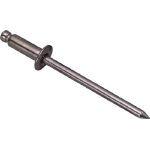 ロブテックス エビ ブラインドリベット(1000本入) スティール/スティール 4-2 NS42  1259202