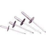 エビ ブラインドリベットラージフランジ(1000本入)アルミ/スティール5-8 NSA58LF  3724271の通販は 12,970円