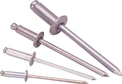 ロブテックス エビ ブラインドリベット(1000本入) アルミ/スティール 5-12 NSA512  3724051