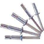 ロブテックス エビ Sボルト(100本入) SNS64095EB SNS64095EB  3726134