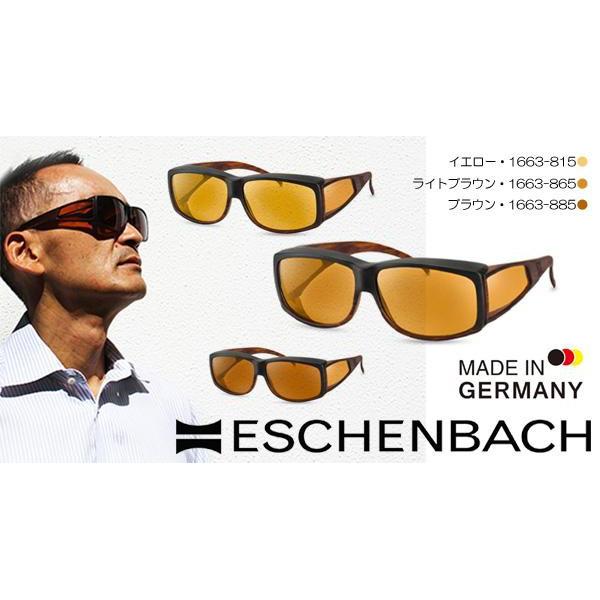 ESCHENBACH(エッシェンバッハ) エッシェンバッハ ウェルネス・プロテクト オーバーサングラスタイプ 小 レンズ色ブラウン・1663-885 (1006751)の通販は