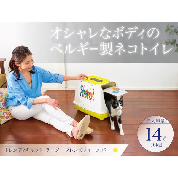 マザーツール 白金デジタル防水温度計 MT-851標準センサー付【BOVP501】