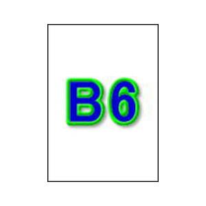 トヨシコー B6サイズ普通紙プリンター用紙上質55kg 5.000枚入り (サイズ:B6 数量:5.000枚/1ケース)