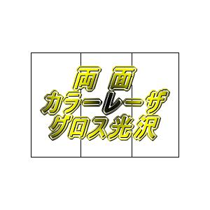 トヨシコー 両面グロス光沢110kg 3ツ折りの折り目入り ex (サイズ:A3 数量:200枚/1ケース)