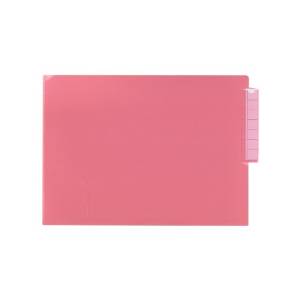 LIHIT LAB. カラーカルテフォルダー(シングル) クリスタルピンクNCNI0533818-9716-02