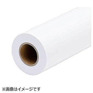 EPSON エプソン プロフェッショナルフォトペーパー薄手光沢(約