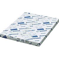 EPSON エプソン エプソン コート紙A3 LPCCTA3 250枚×4冊入りの通販は