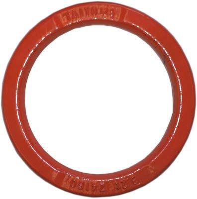 大洋製器工業 大洋 ハイパーリング 5t 30×200 code:7531443