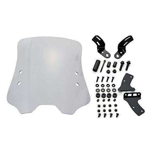 DAYTONA デイトナ ウインドシールドRS:CC110 (95154)