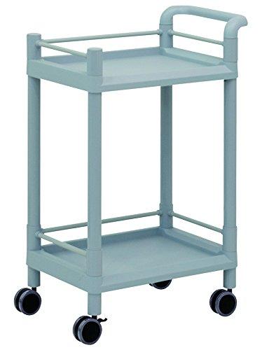 アズワン モバイルストレージカート 2段 610×370×897(ガード枠・ハンドル付) MSO11G 1個