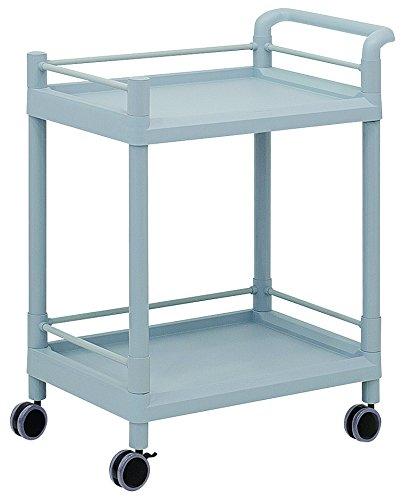 アズワン モバイルストレージカート(ガード枠・ハンドル付き) 2段 705×447×887 MSO21G 1個