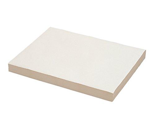 大王製紙 プロワイプ・コットンオイルマット2-1622-11