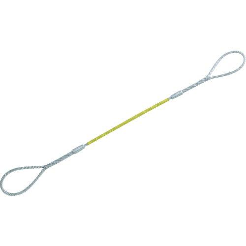 TRUSCO トラスコ中山 GRC9S1TRUSCO Wスリング Aタイプ カラー被覆付 9mmX1.0m8550550